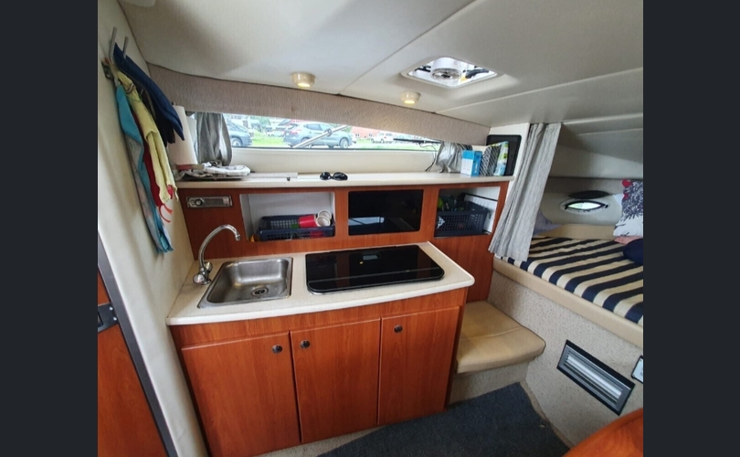 Bayliner 285 SB-kuva-3